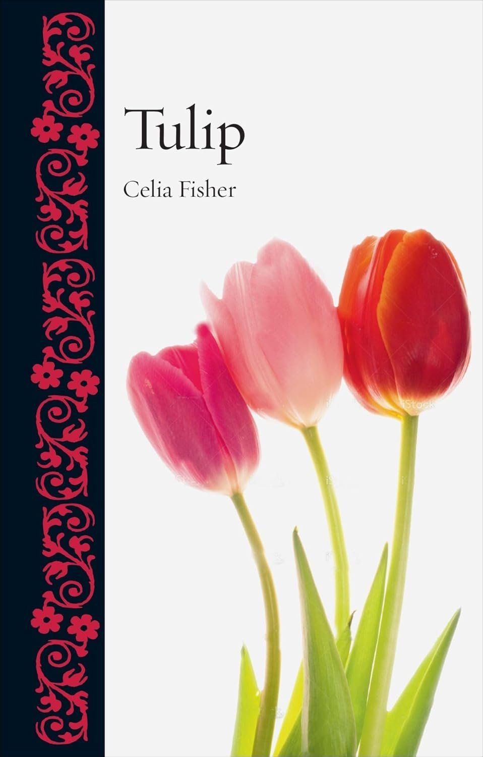 Best Books on Tulips — Travel & Culture Salon